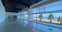 Local Comercial Costanera Sector Sur